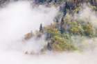 Mist rising from tapestry of blooming trees in spring-Great Smoky Mountains NP-NC Art Print